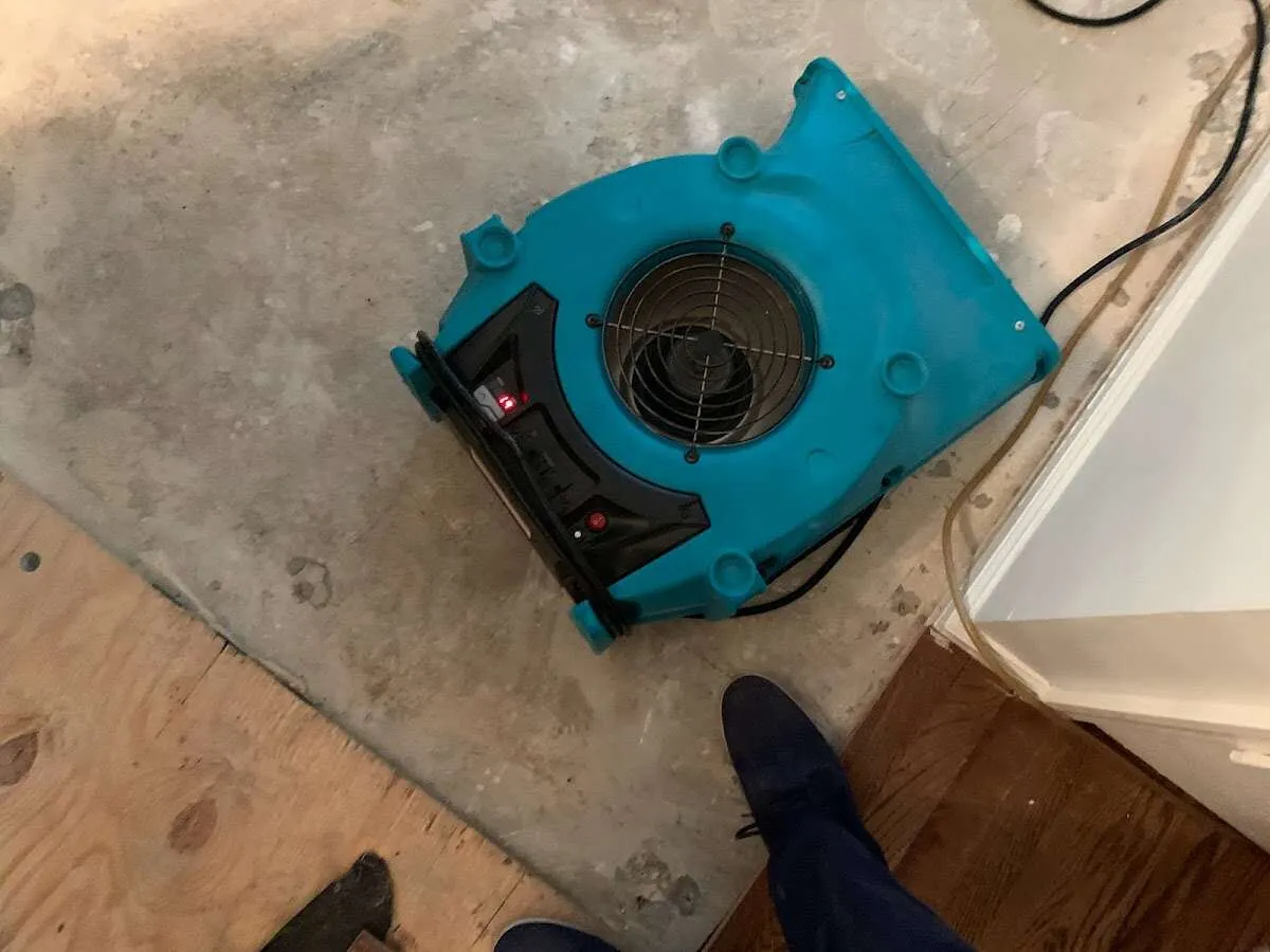 Air mover drying subfloor during Leak Detection & Repair in El Paso de Robles (Paso Robles)