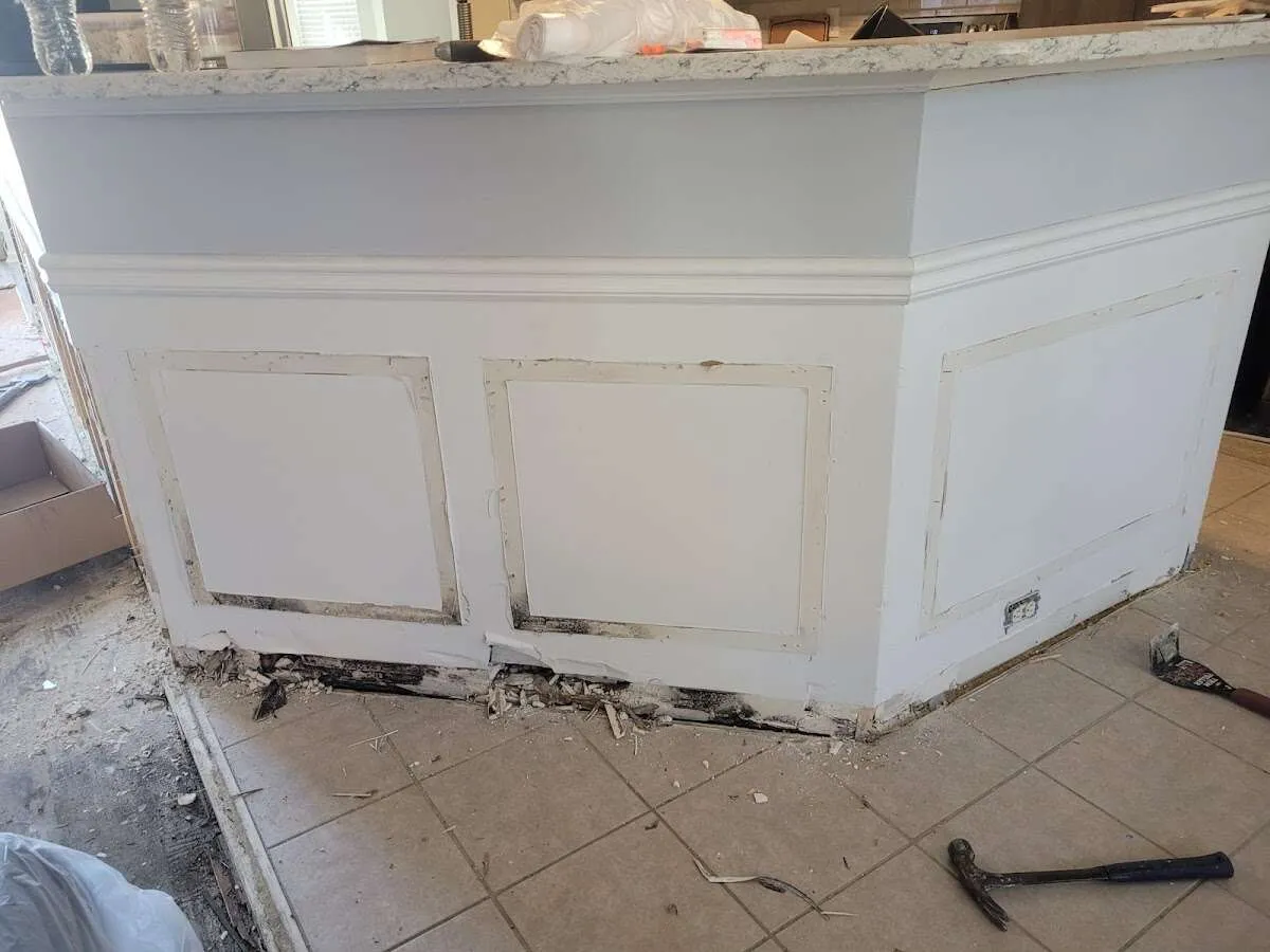 Water damage and mold on kitchen during Burst Pipe Cleanup in El Paso de Robles (Paso Robles)
